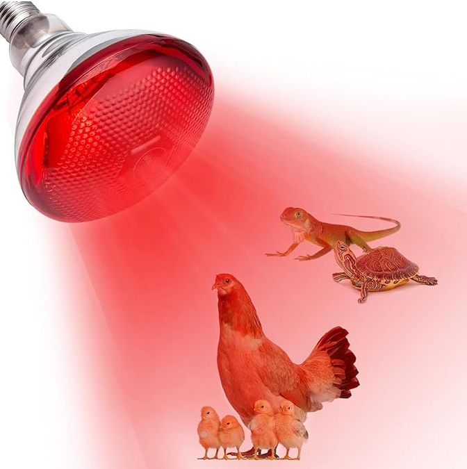 Infrared Heat Lamp E27 - PAR38