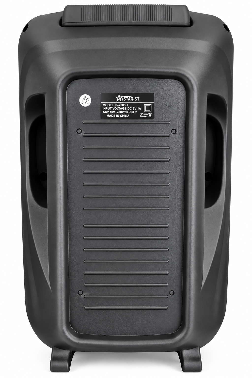 8" Bluetooth & FM Radio Portable Karaoke Speaker With Microphone