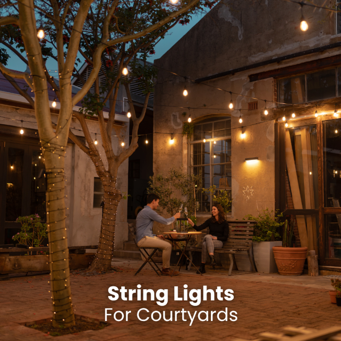 Waterproof 100m Bulb LED Outdoor Festoon Bulb String Lights