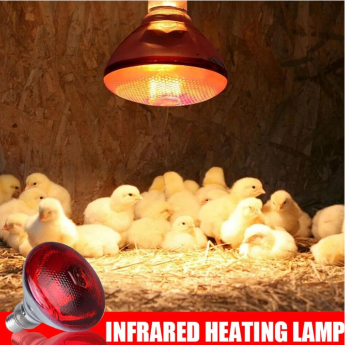 Infrared Heat Lamp E27 - PAR38
