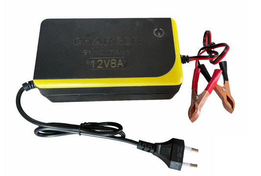 12V Intelligent Battery Charger 8A