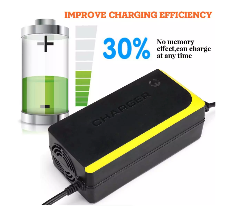 12V Intelligent Battery Charger 8A