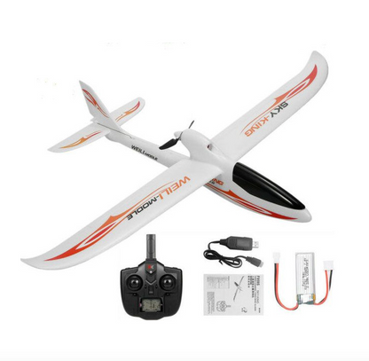 WLtoys F959 Sky King RC Plane