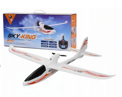 WLtoys F959 Sky King RC Plane